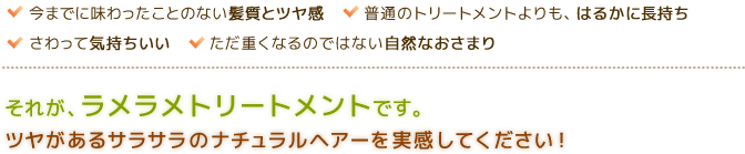 今までに味わったことのない髪質とツヤ感　　　普通のトリートメントよりも、はるかに長持ちさわって気持ちいい　　パーマを掛けたストレートじゃない、自然なストレートそれが、ラメラメトリートメントです。ツヤがあるサラサラのナチュラルヘアーを実感してください！